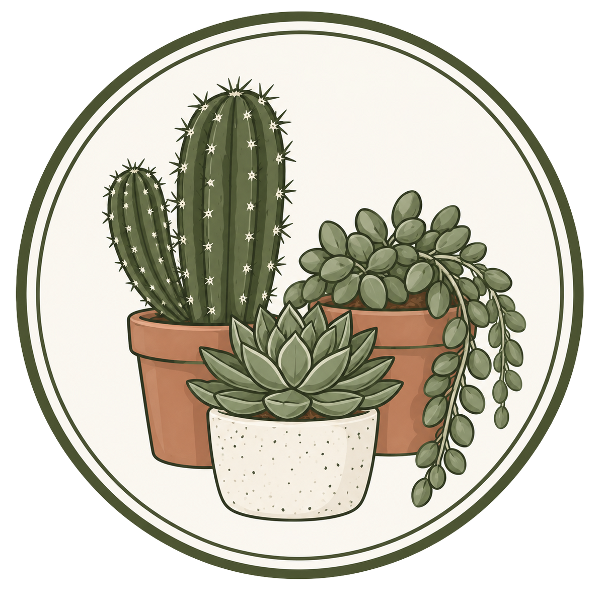 Cactus & Succulents