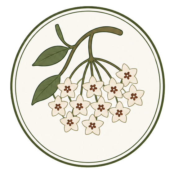 Hoya