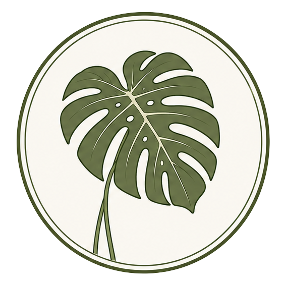 Monstera