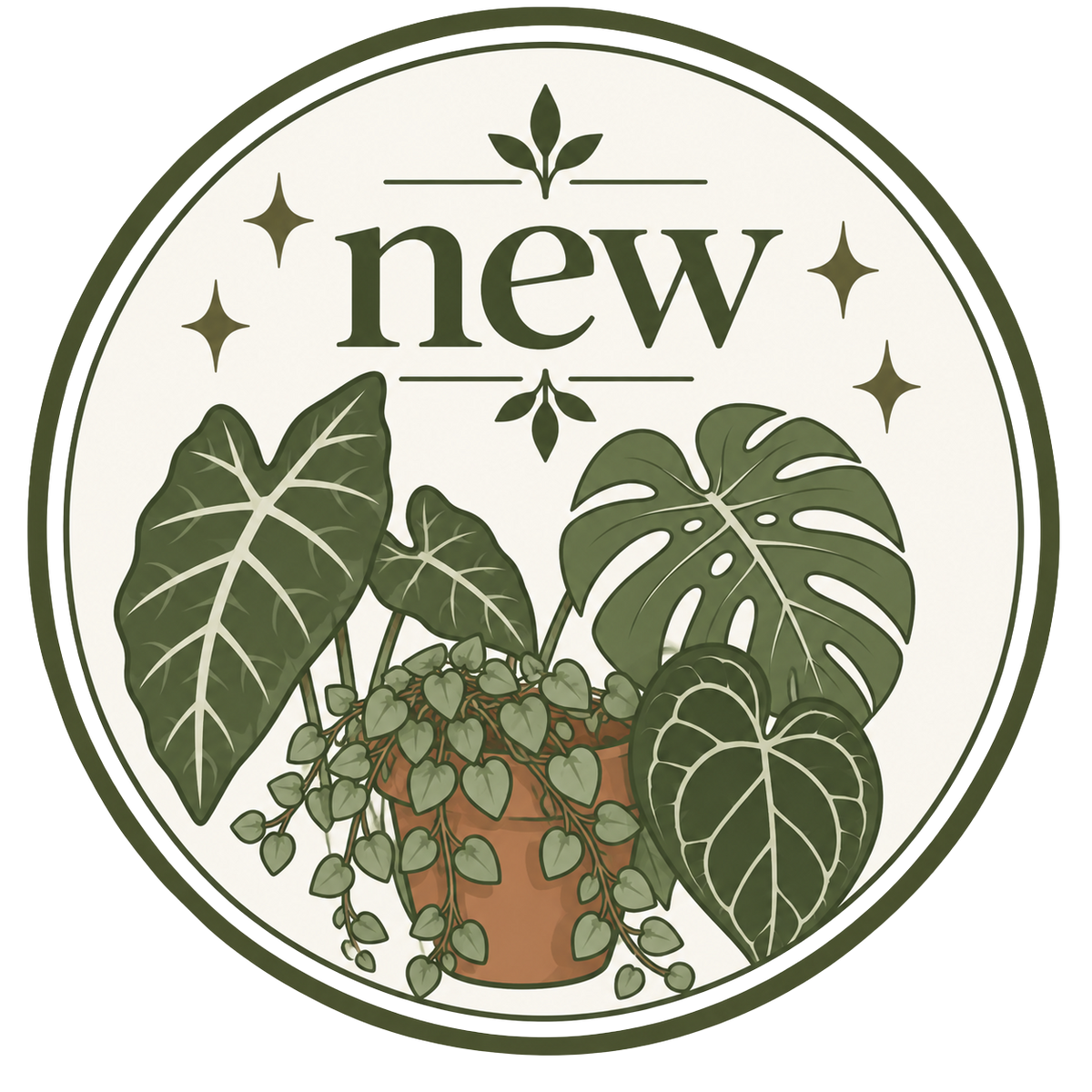 New Arrivals
