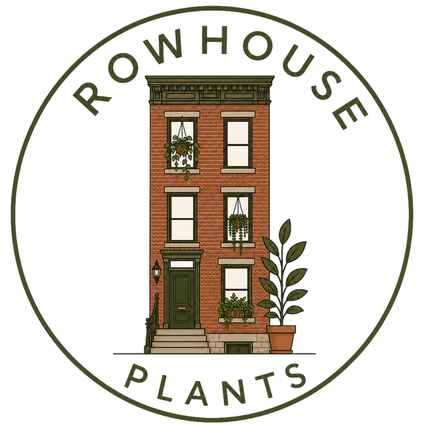 Rowhouse Plants