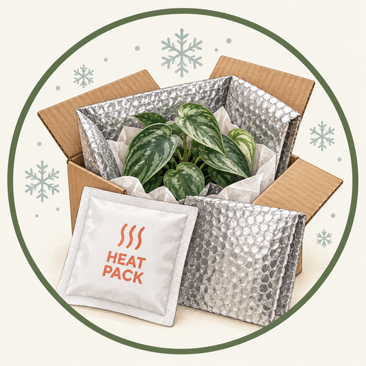 Cold Weather Shipping Protection